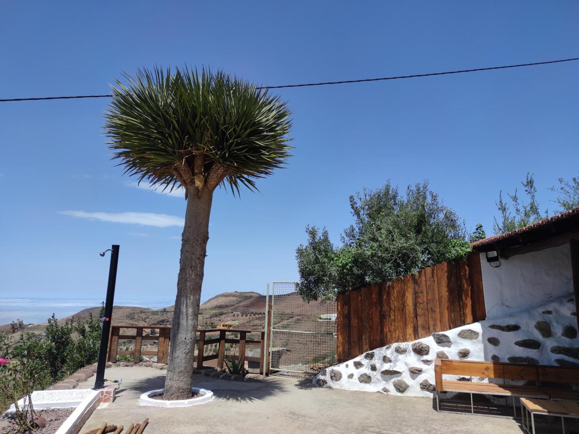 Finca Cho Rafael Gáldar المظهر الخارجي الصورة